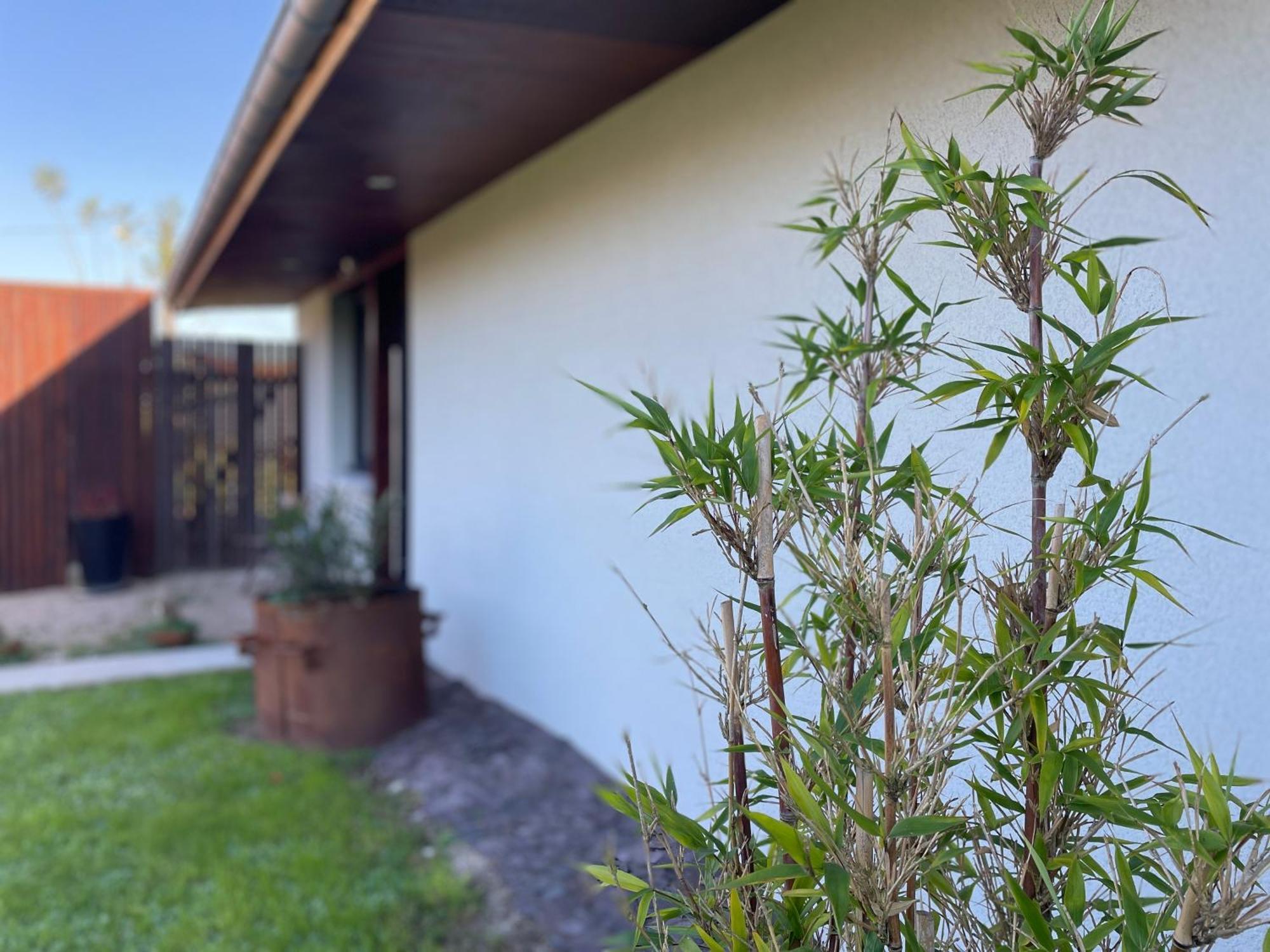 Yanna Lodge, Gite Classe 4 Etoiles Avec Spa Couvert Entierement Arrest Eksteriør bilde